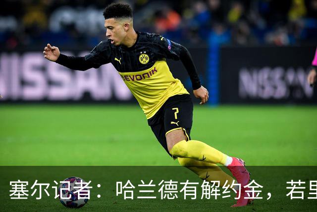 塞尔记者：哈兰德有解约金，若里克尔梅与他达成协议，挖走他不难